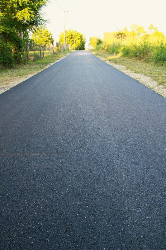 Preparing Your Asphalt Surface For Professional Sealing